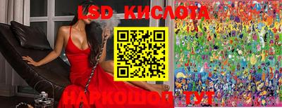 дмт Донской
