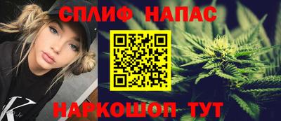 дмт Донской