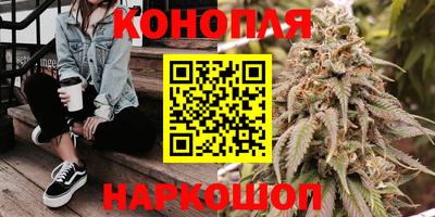 дмт Донской