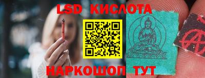 дмт Донской