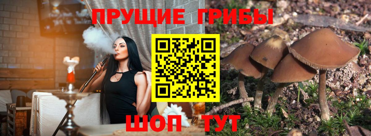 Галлюциногенные грибы прущие грибы Моздок
