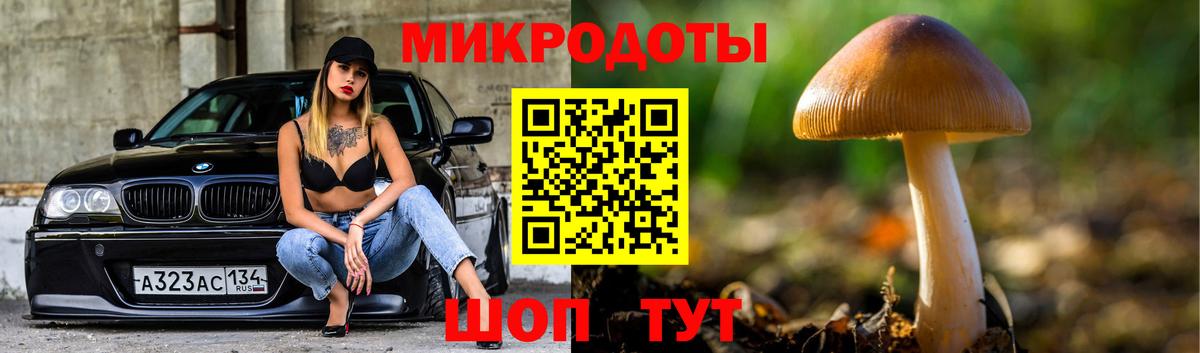 Галлюциногенные грибы мухоморы  наркошоп  Моздок  Вход с VPN 